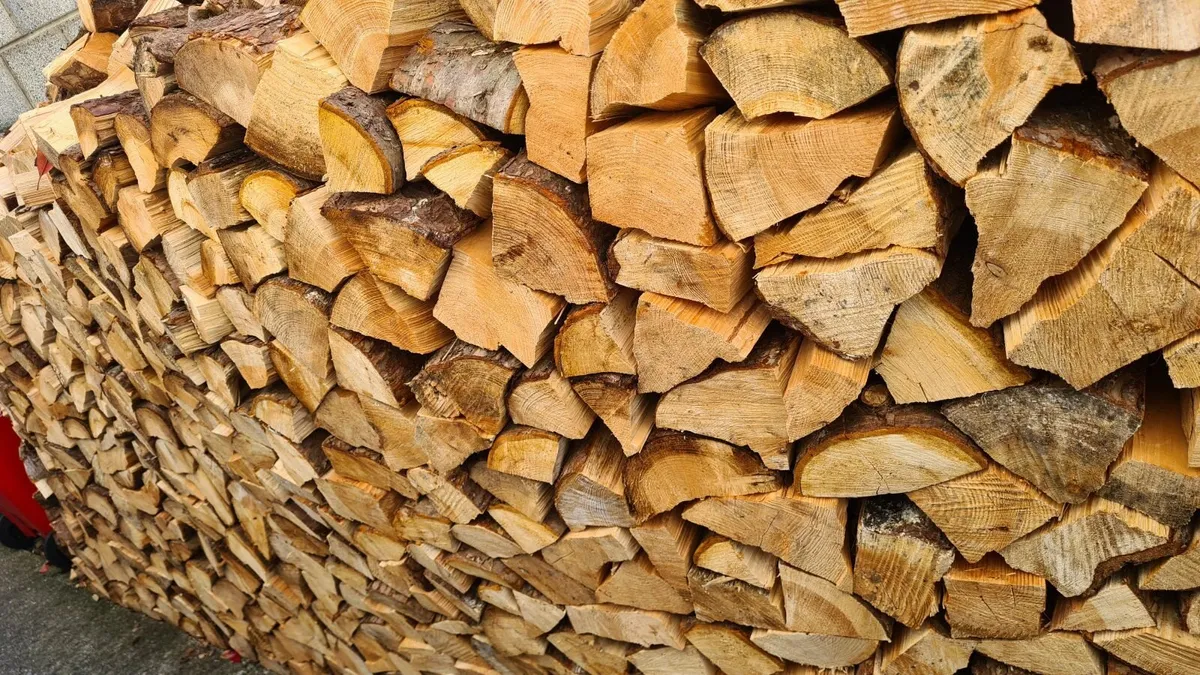 full load of firewood 🪵 - Image 3