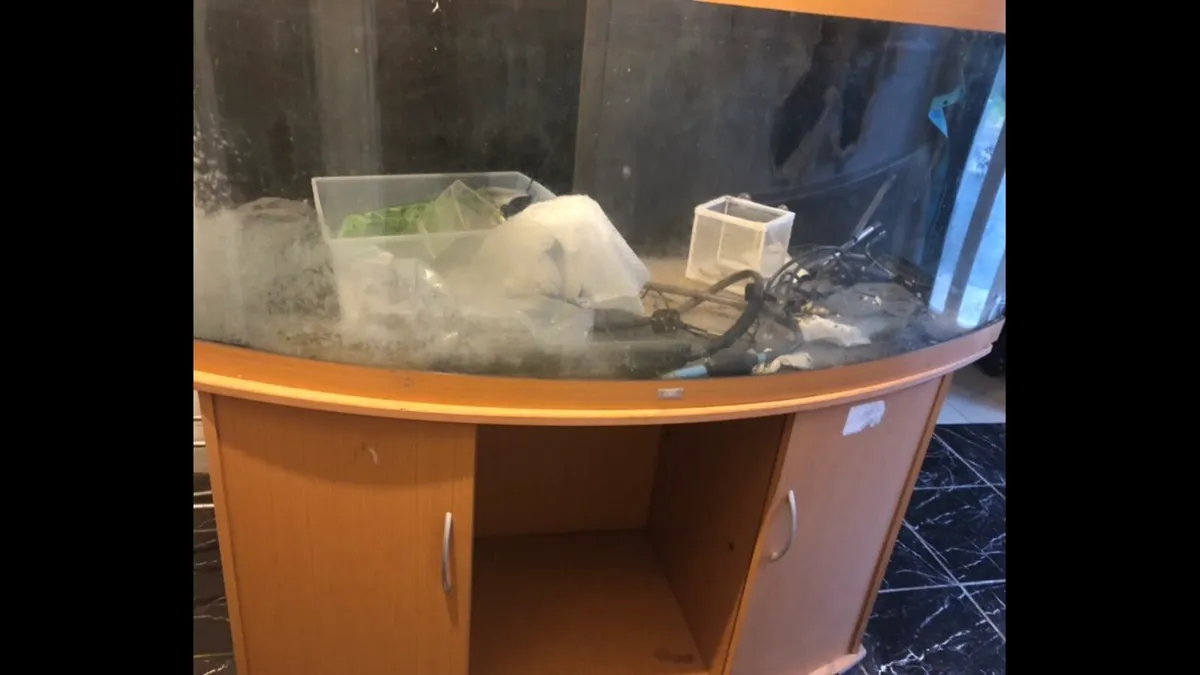 Large fish tank - Image 1