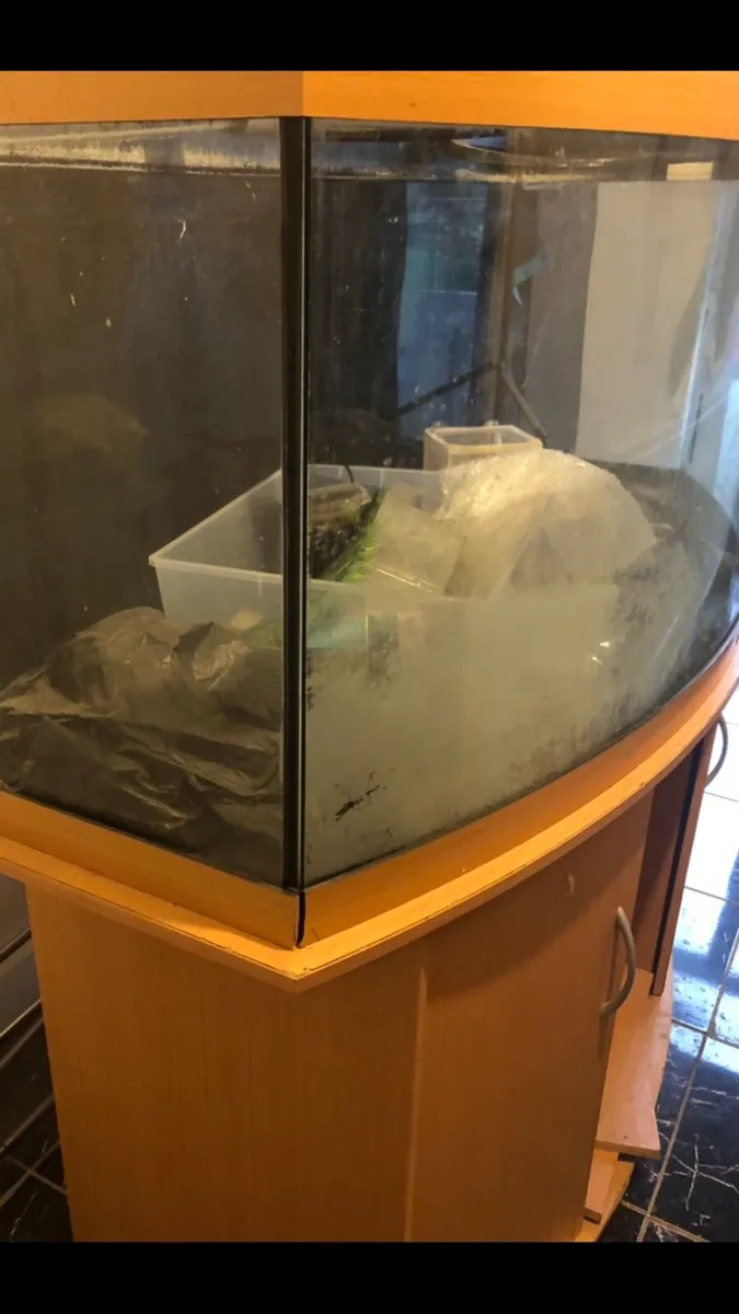 Large fish tank - Image 2