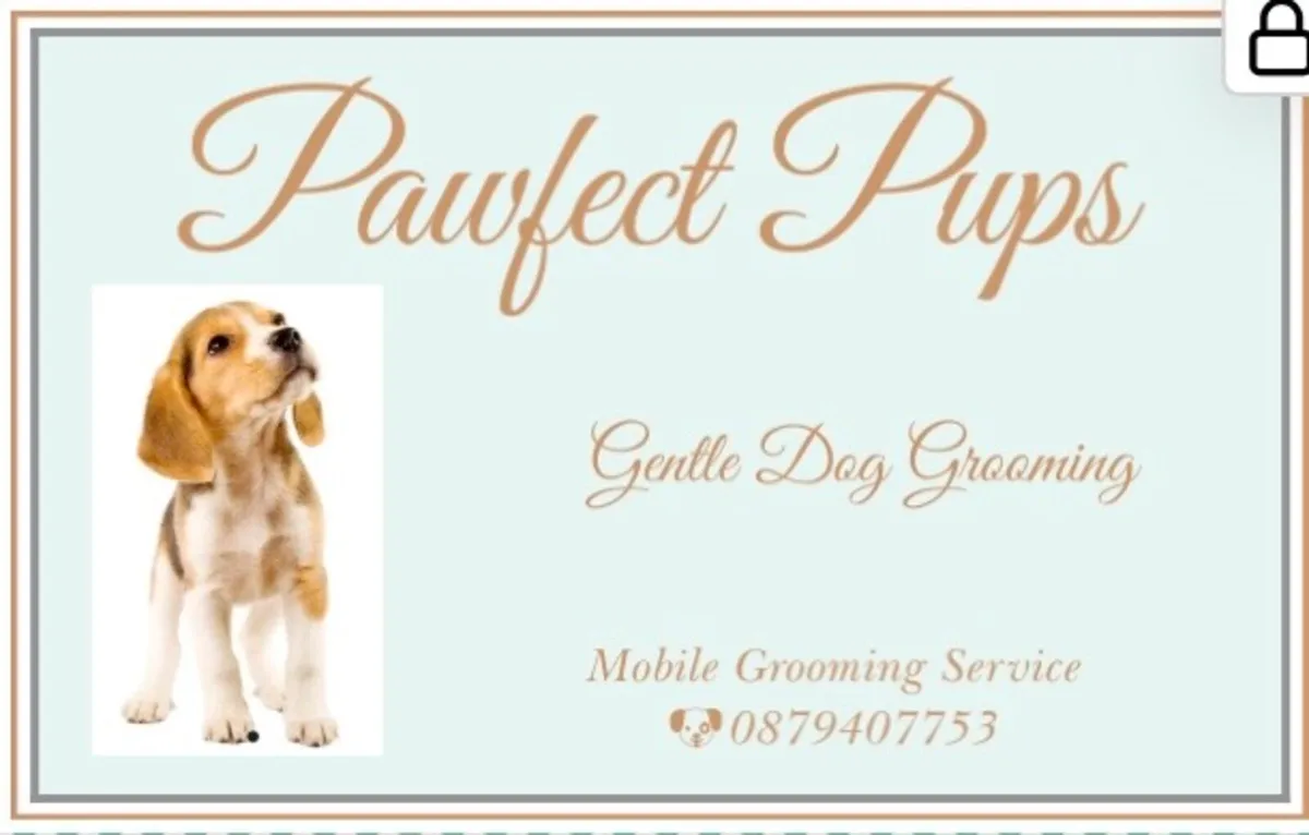 Dog Groomer available - Image 4
