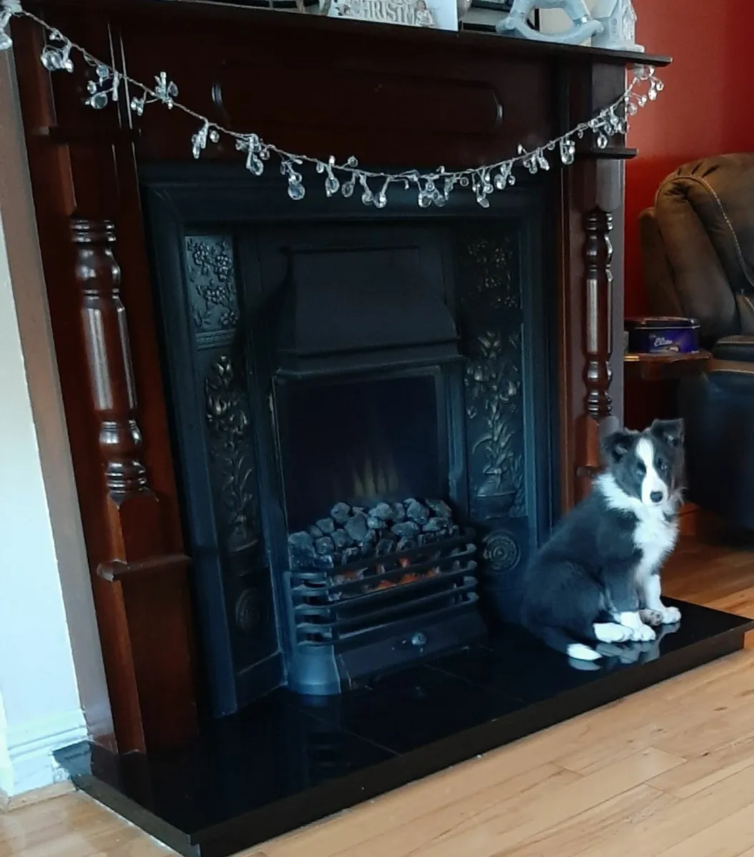 Beautiful mahogany fireplace
