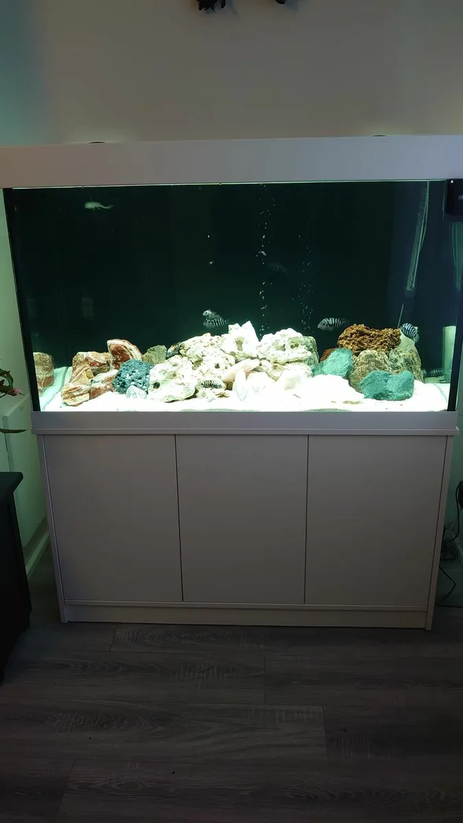 FISH TANK 460 L - Image 1