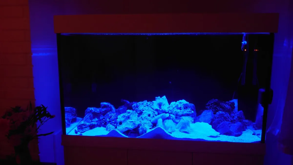 FISH TANK 460 L - Image 3