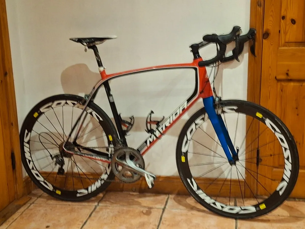 Meridia  scultura - Image 3