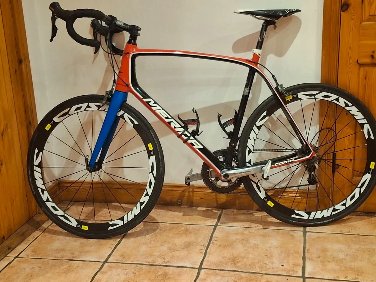 Meridia  scultura - Image 4