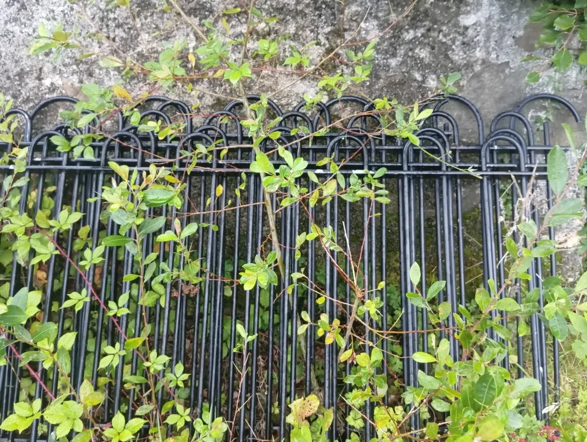 Iron gate posts
