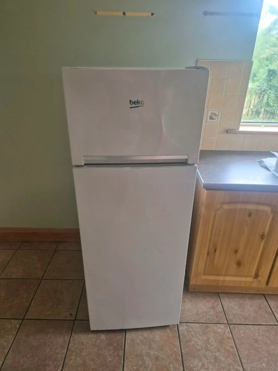 Fridge freezer - Image 1