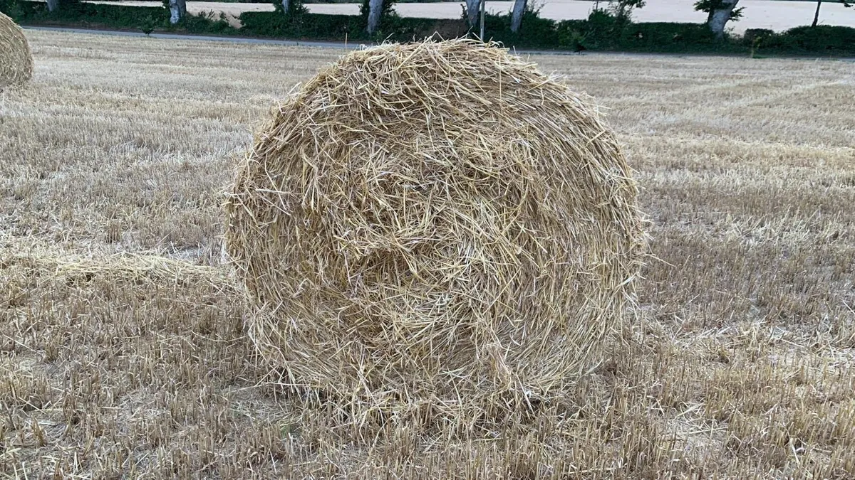 Straw