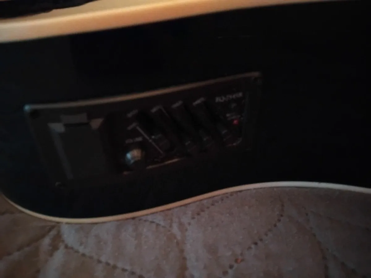 Guitar - Image 2