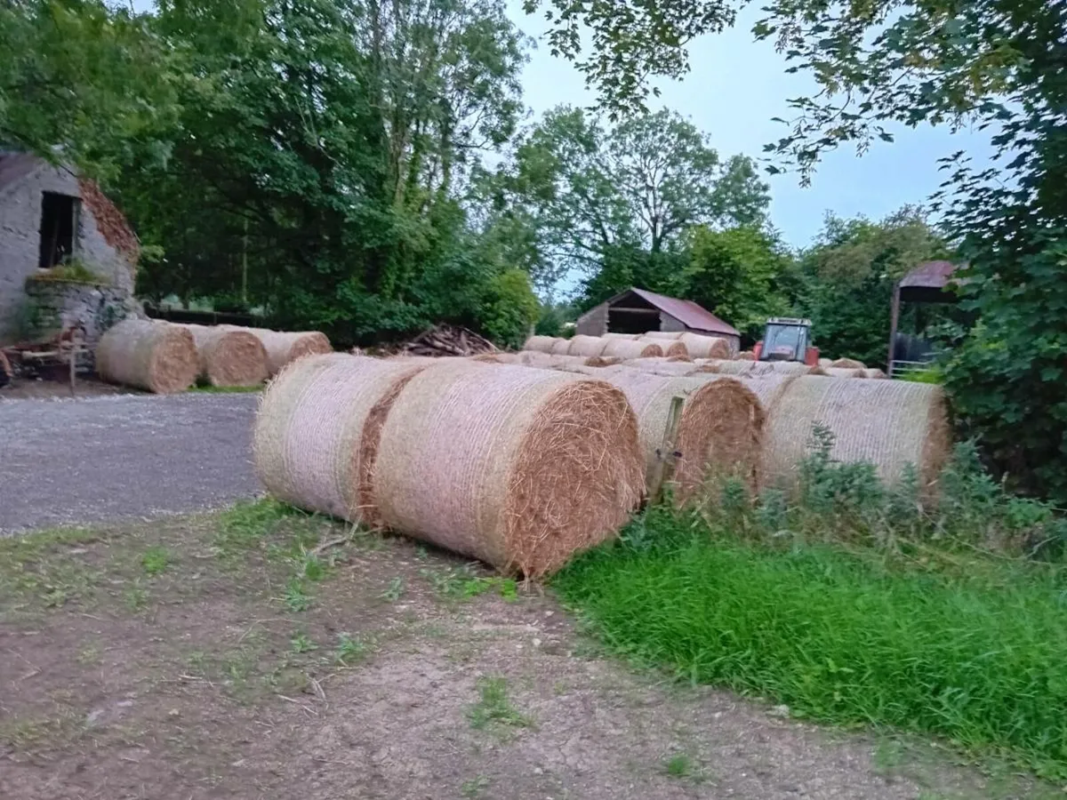 Hay for sale - Image 1