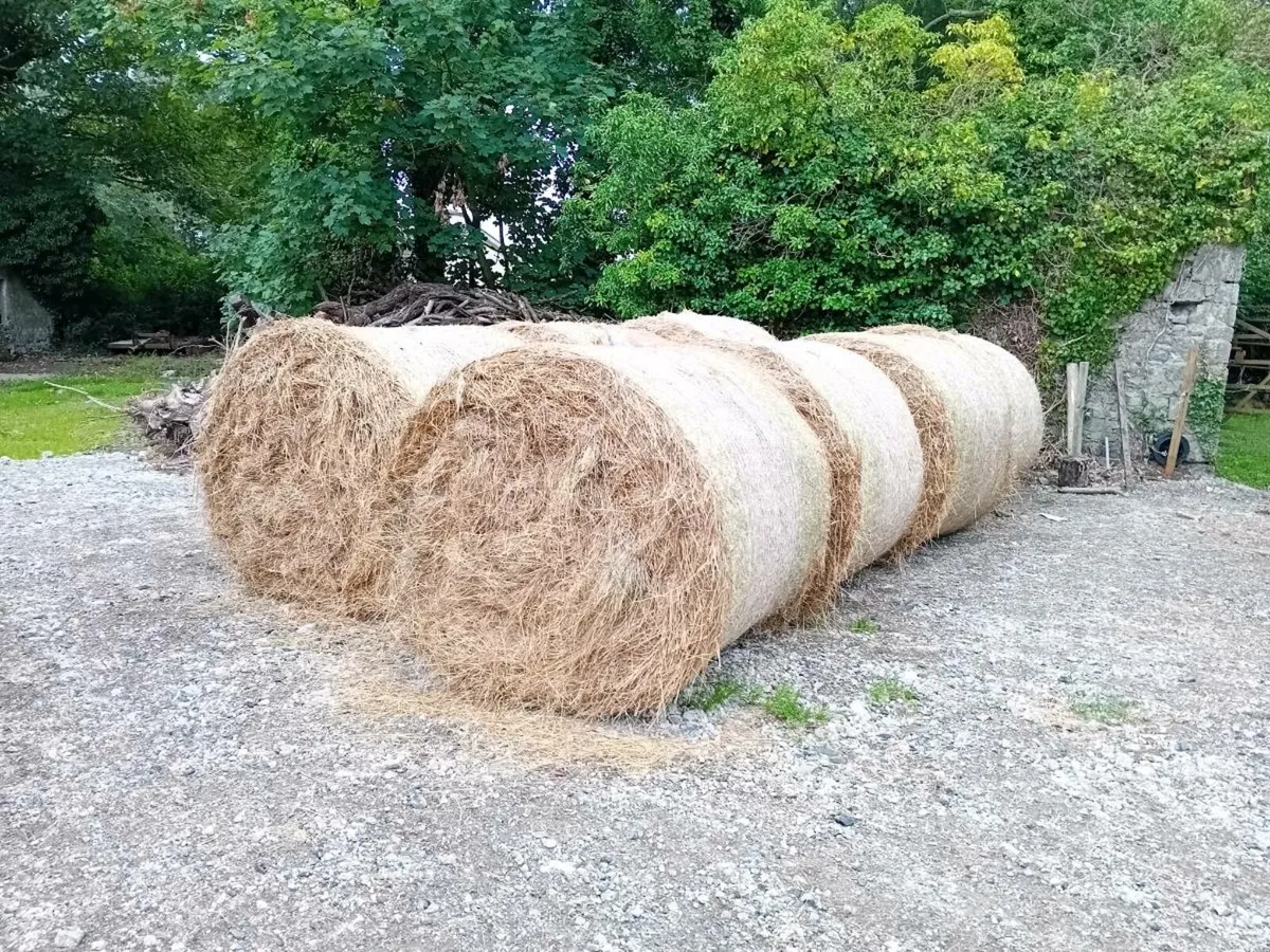 Hay for sale - Image 3