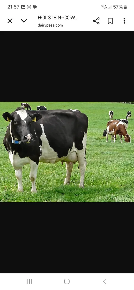 Land wanted Monaghan or Louth