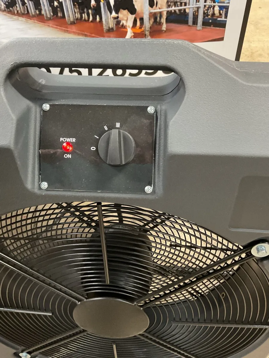 Parlour fan - Image 2
