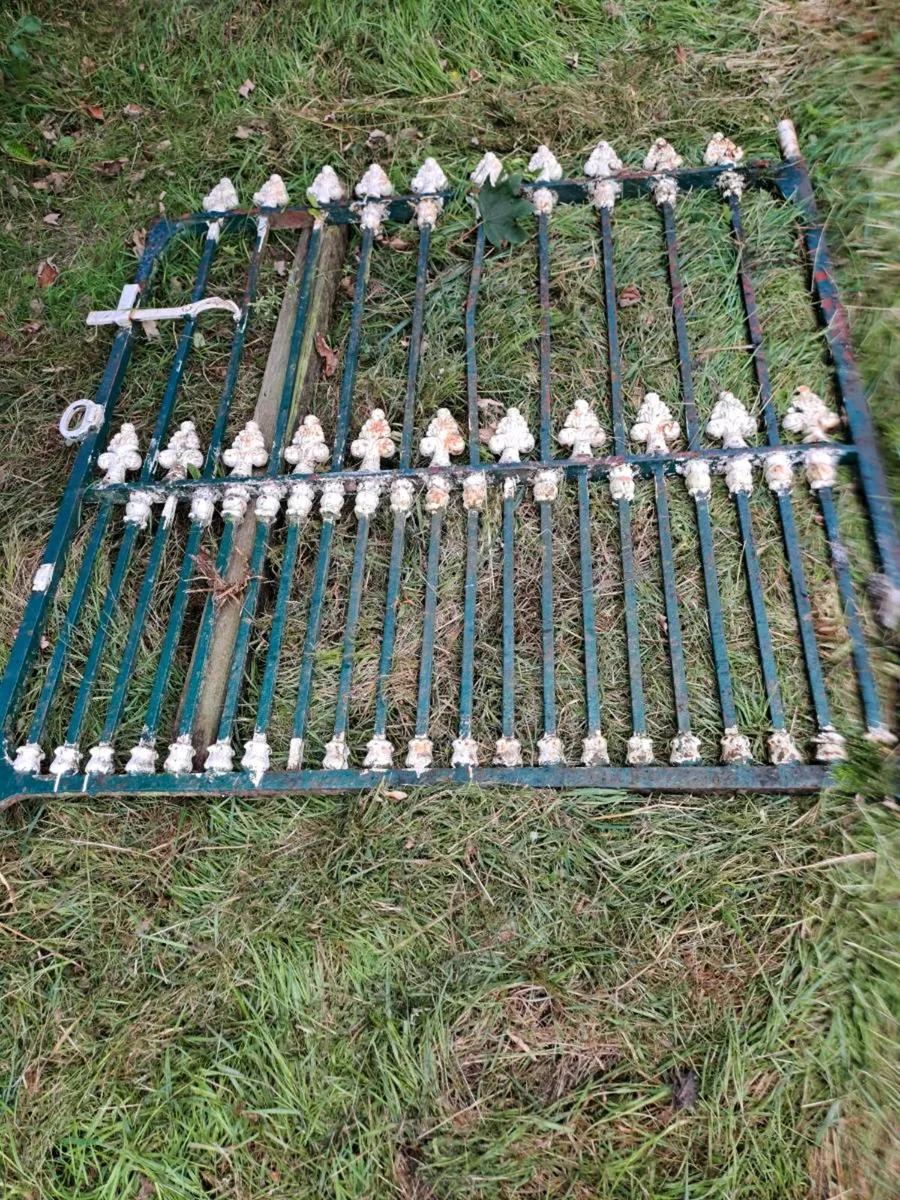 Antique gates - Image 2