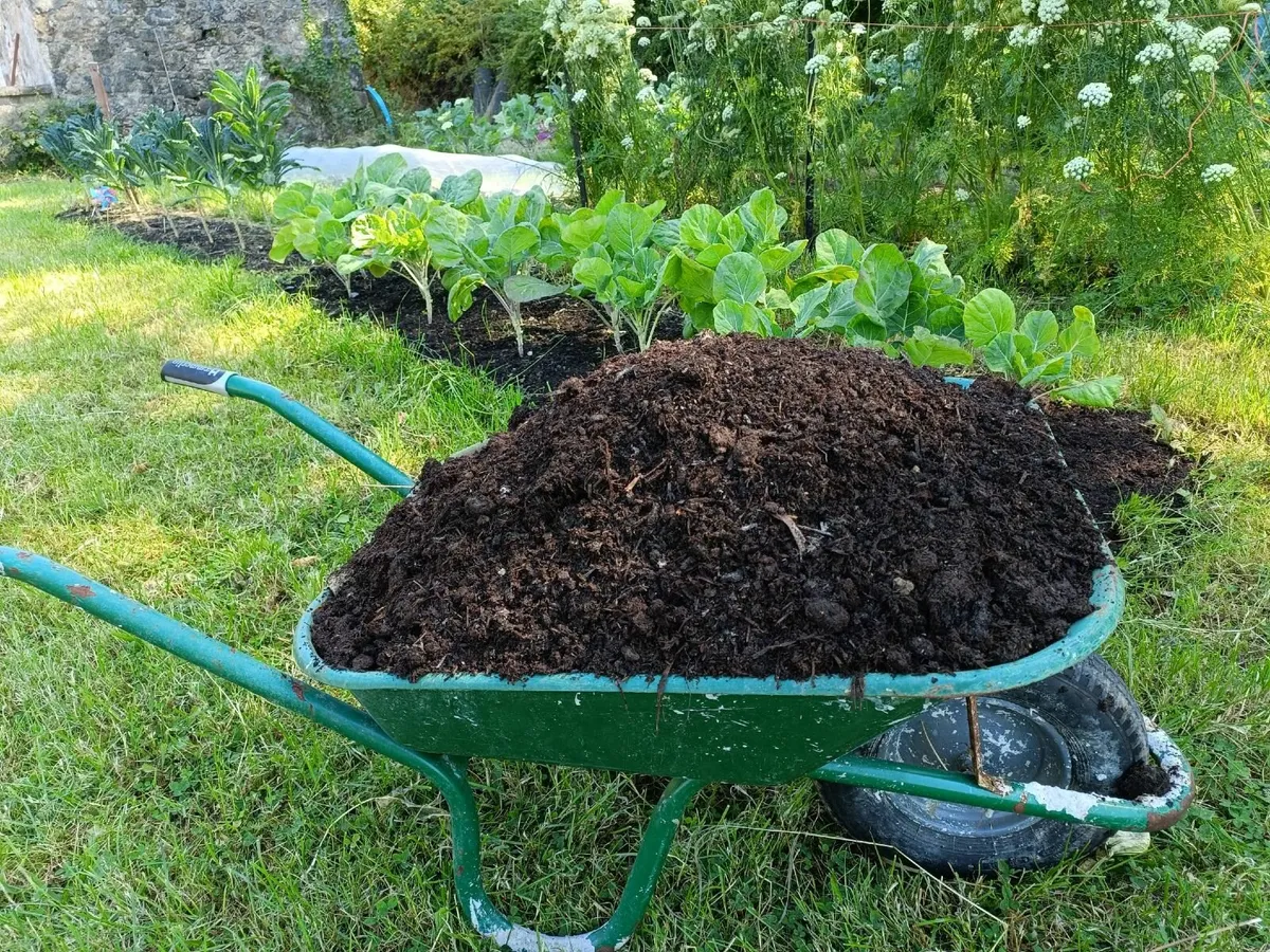 Compost - Image 1