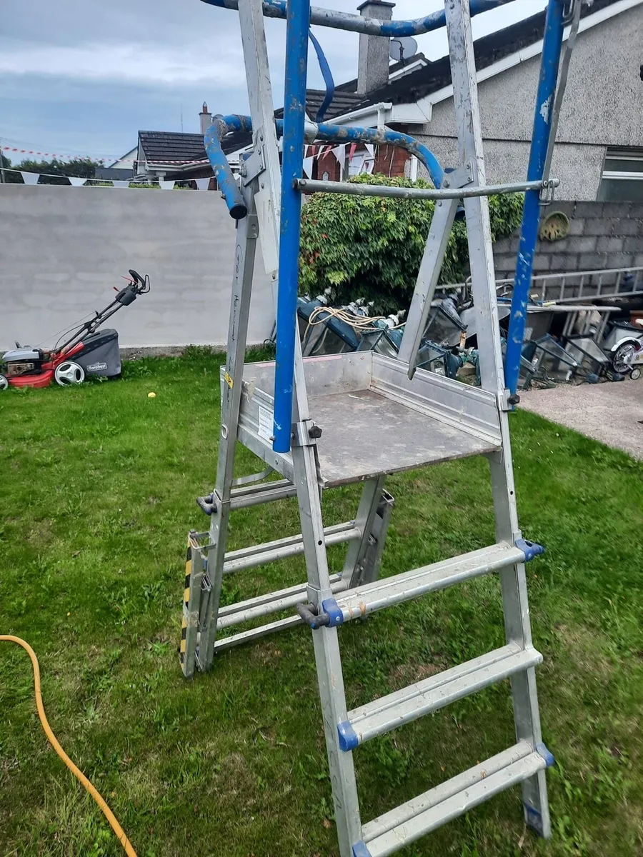 Ladder - Image 2