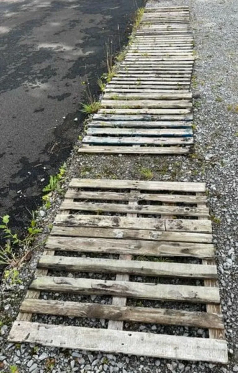 Timber Trays