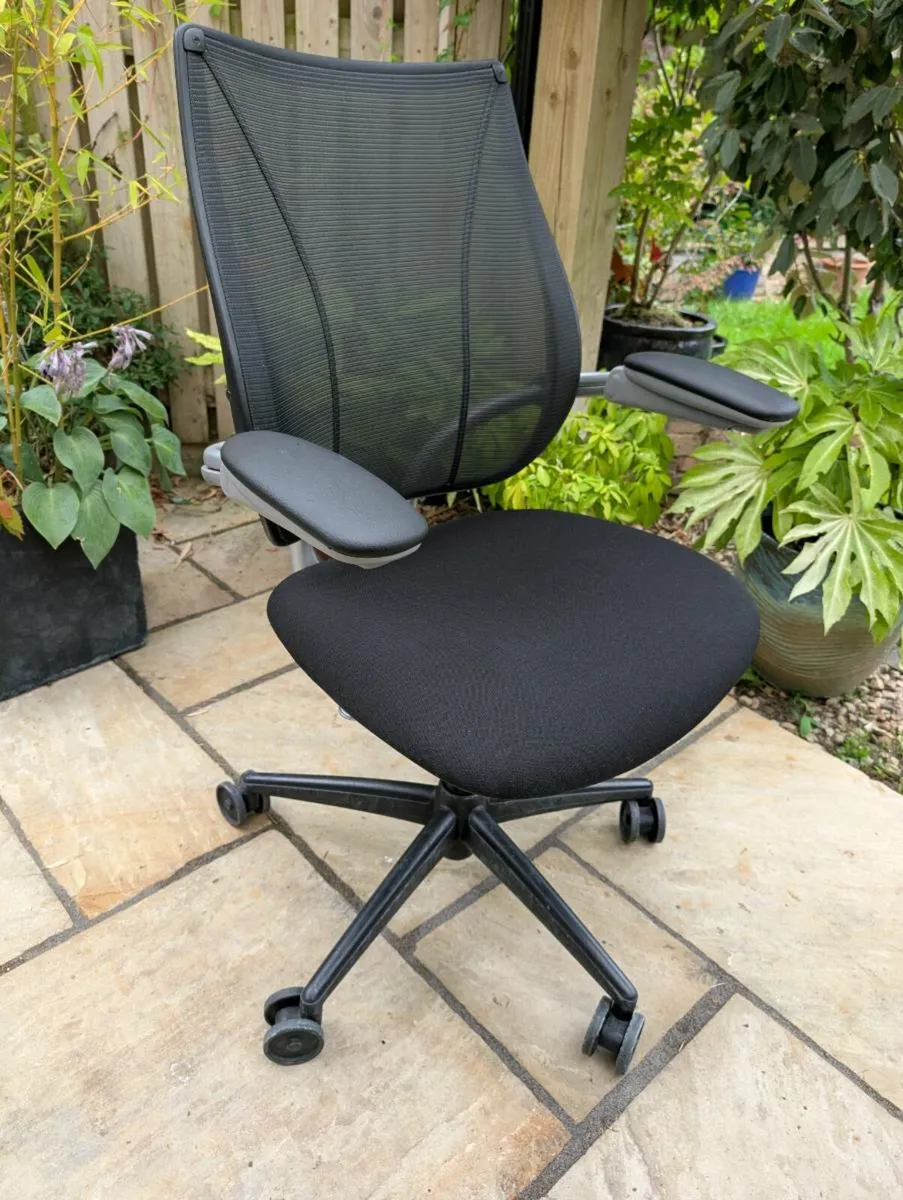 Ergonomic office chair - Image 1