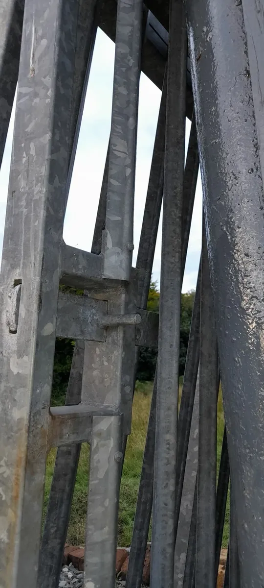 Galvanised Security gates - Image 4