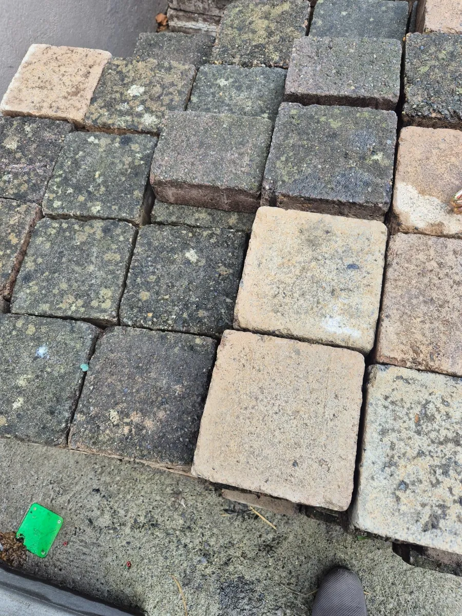 Paving bricks - Image 2