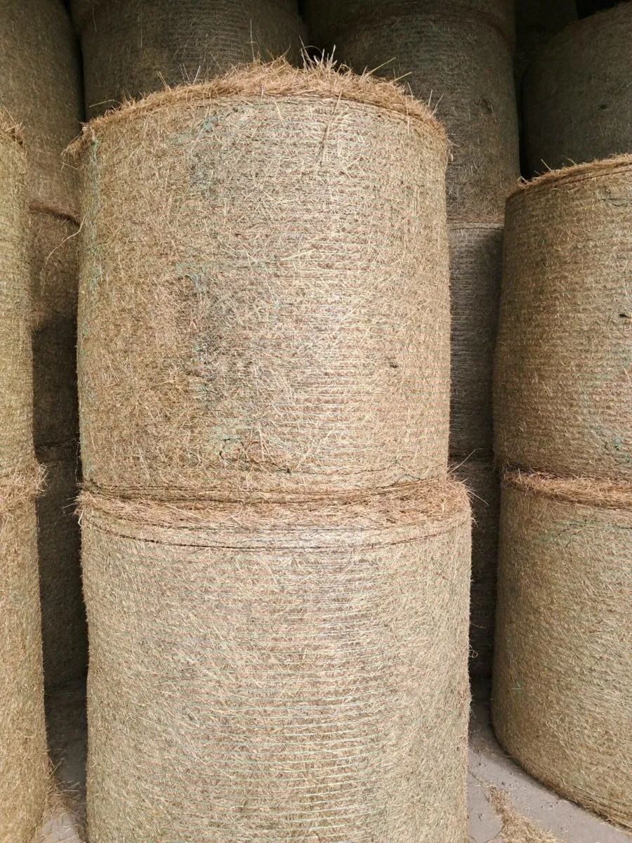 Hay - Image 1