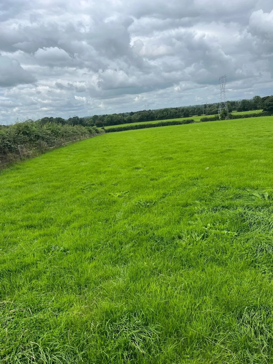 Land for rent - Image 1