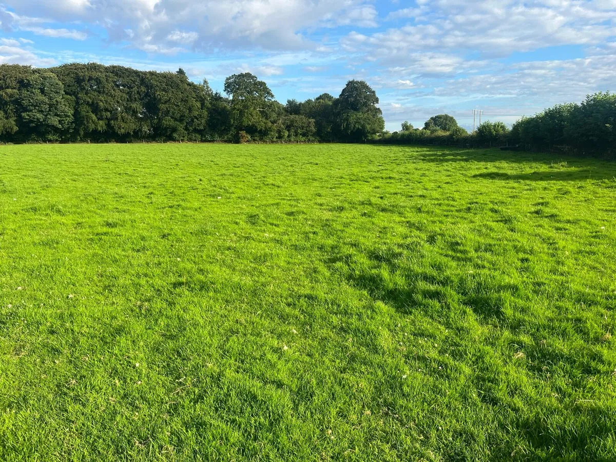 Land for rent - Image 2