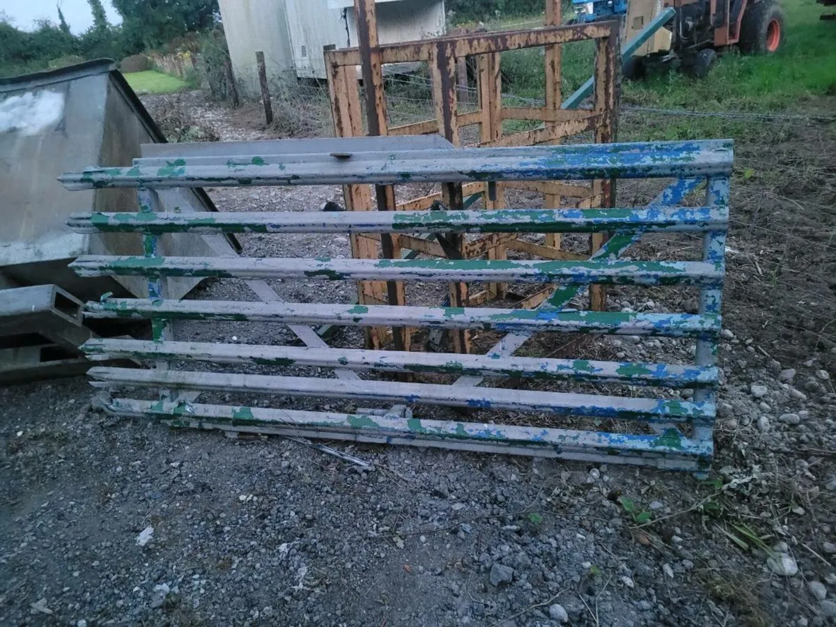 Yard clearance - Image 3