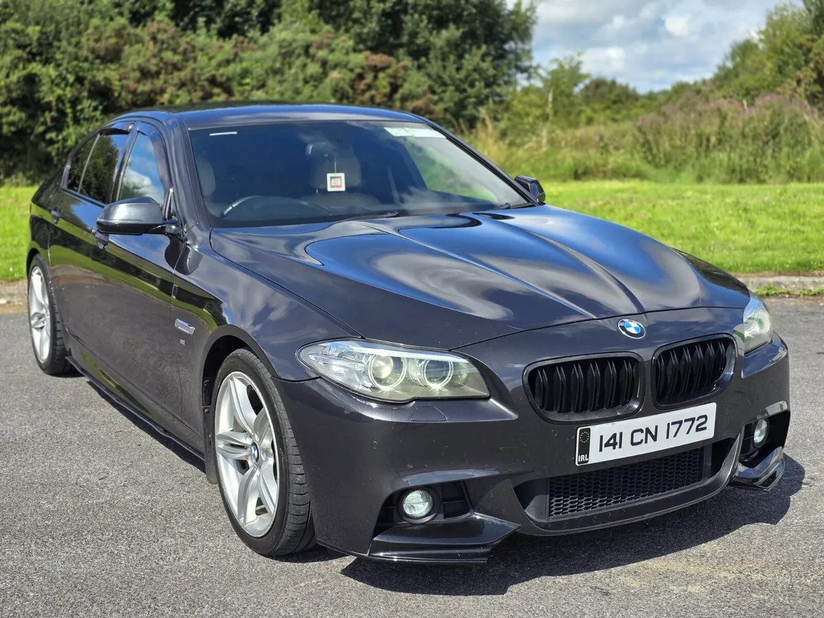 141 BMW F10 520d - Image 2