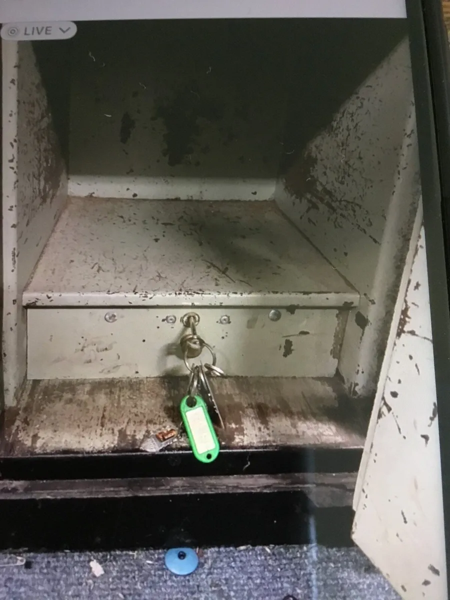 Safe - Image 3