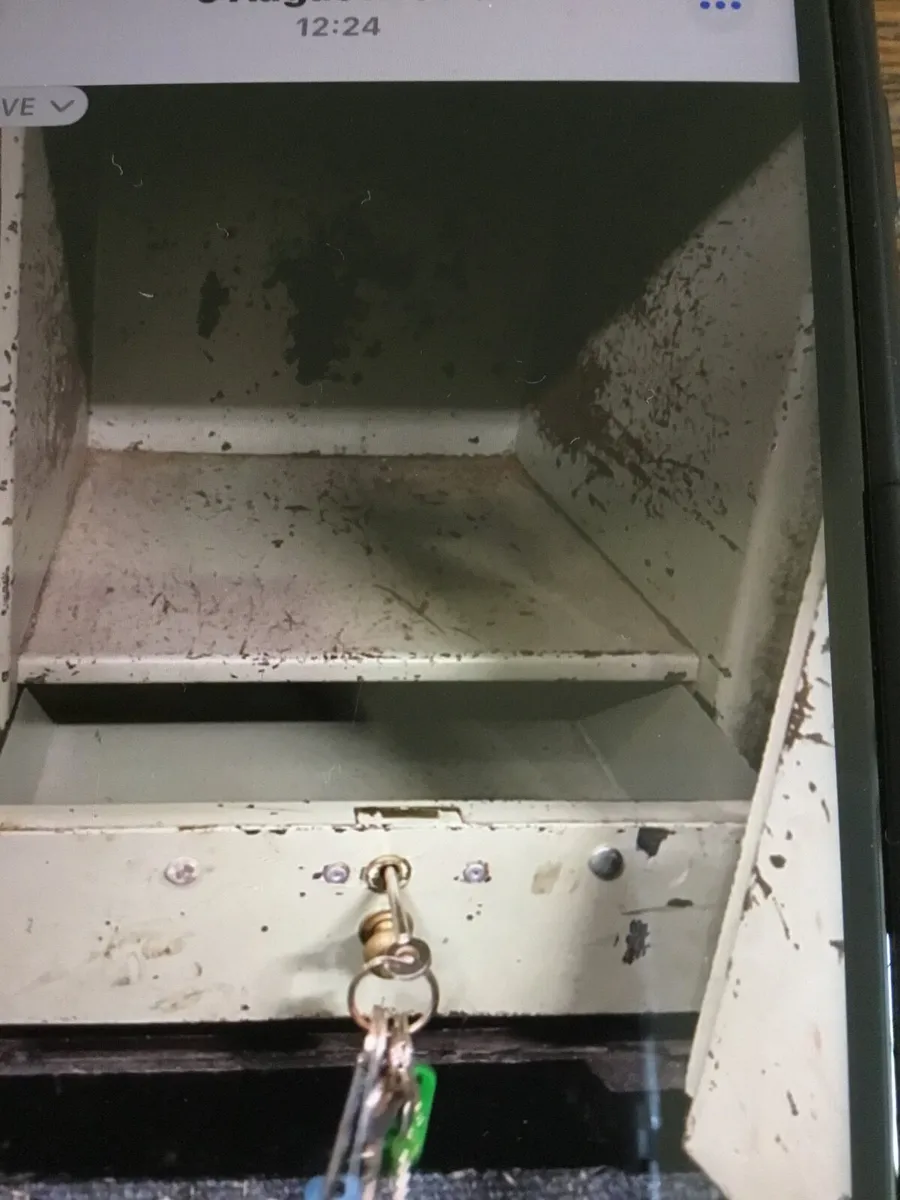 Safe - Image 4