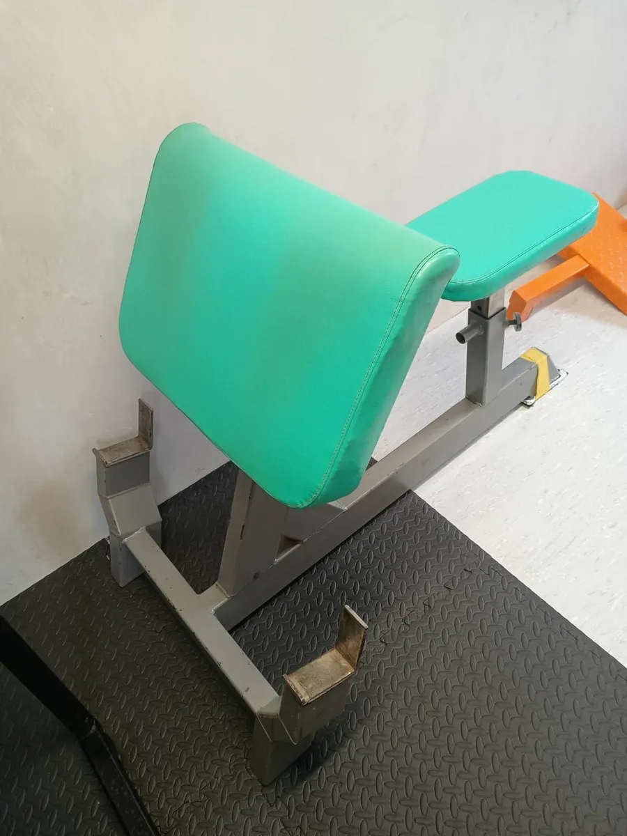 Comercial Preacher curl bench - Image 2