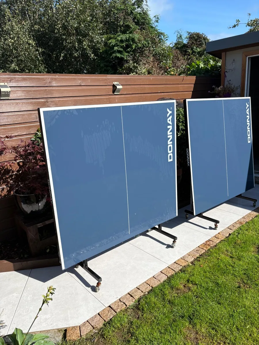 Table tennis - Image 2