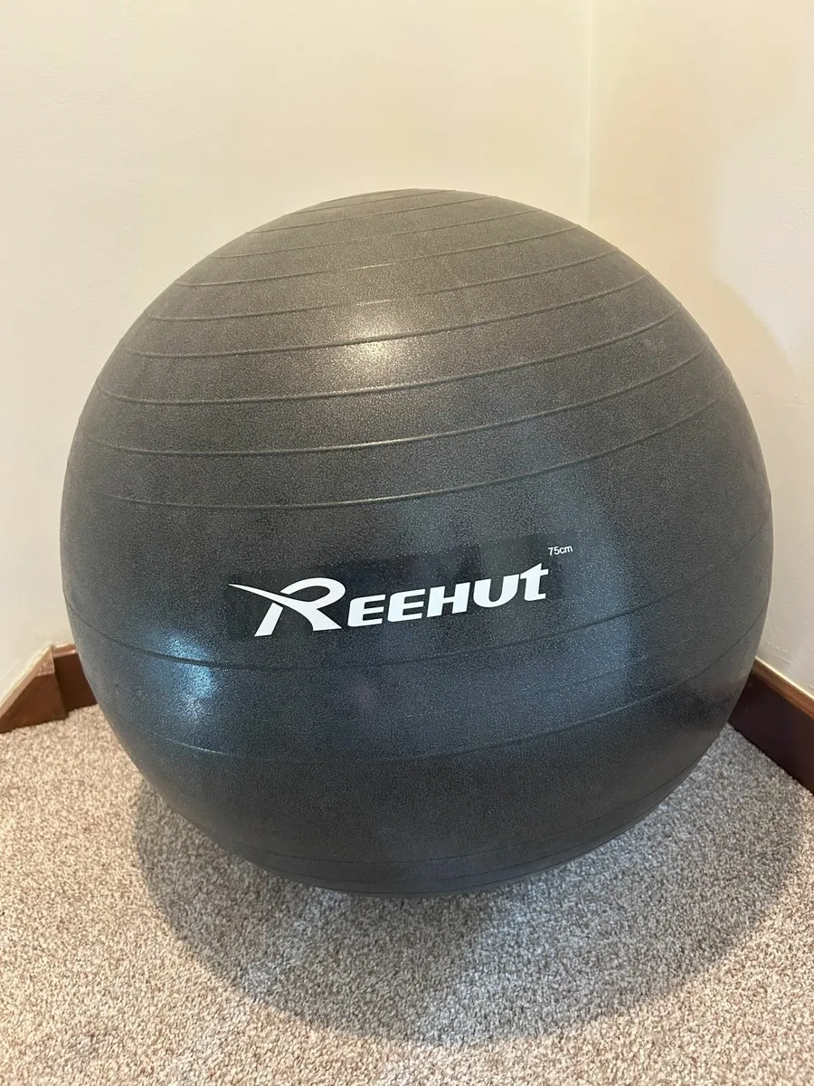 Reehut 75cm Exercise Ball with Pump - Image 1