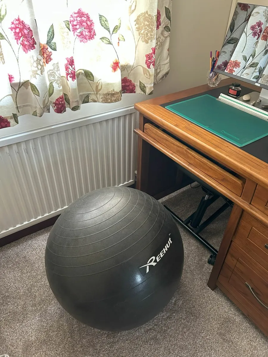 Reehut 75cm Exercise Ball with Pump - Image 3