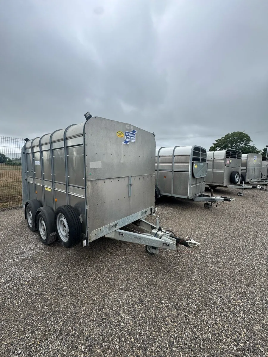 Cattle trailers - Image 1