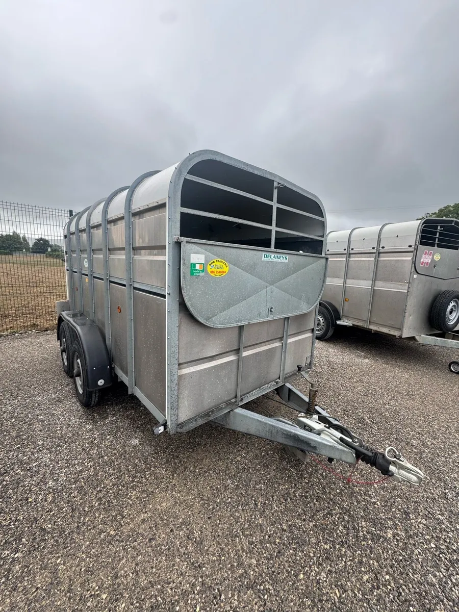 Cattle trailers - Image 3
