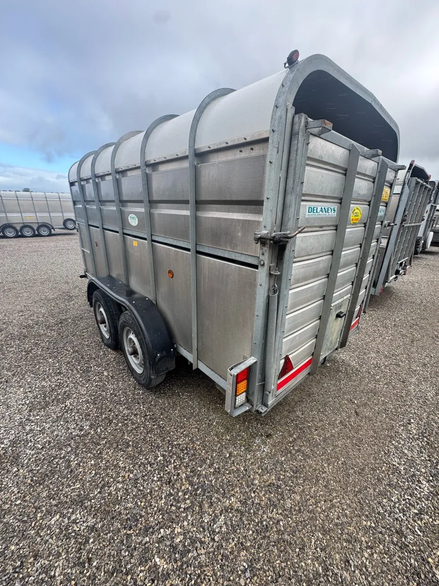 Cattle trailers - Image 4