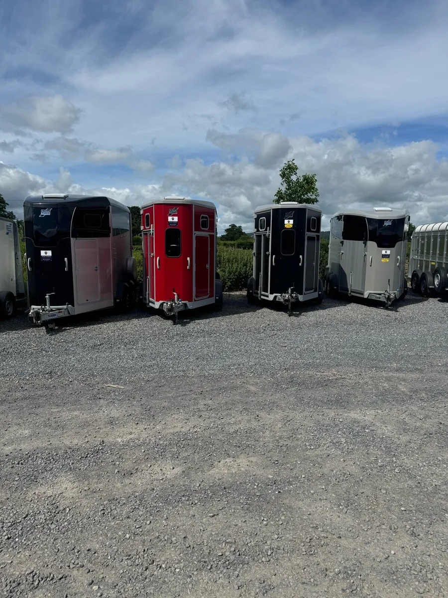 Ifor Williams - Image 3