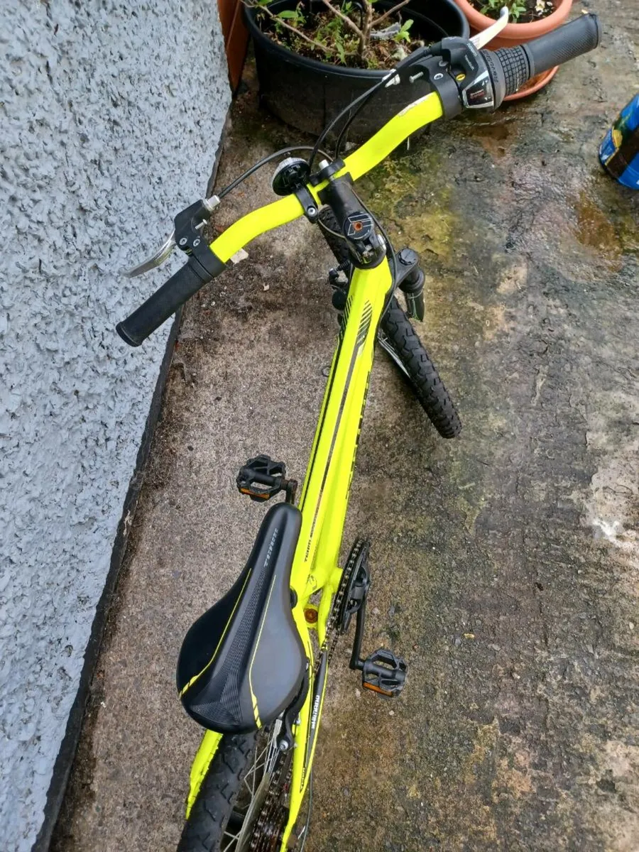 Team Childs bike - Image 4