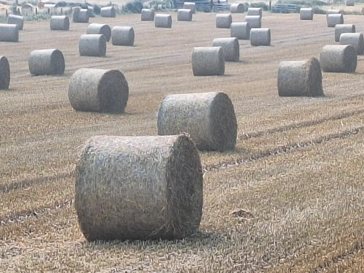 Straw - Image 2