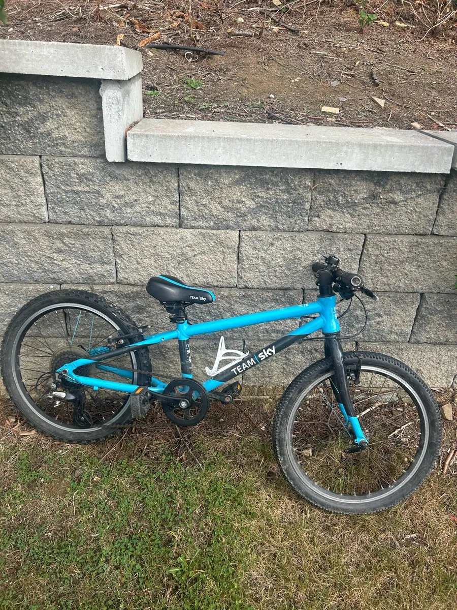 Kids Frog Bike - Image 1