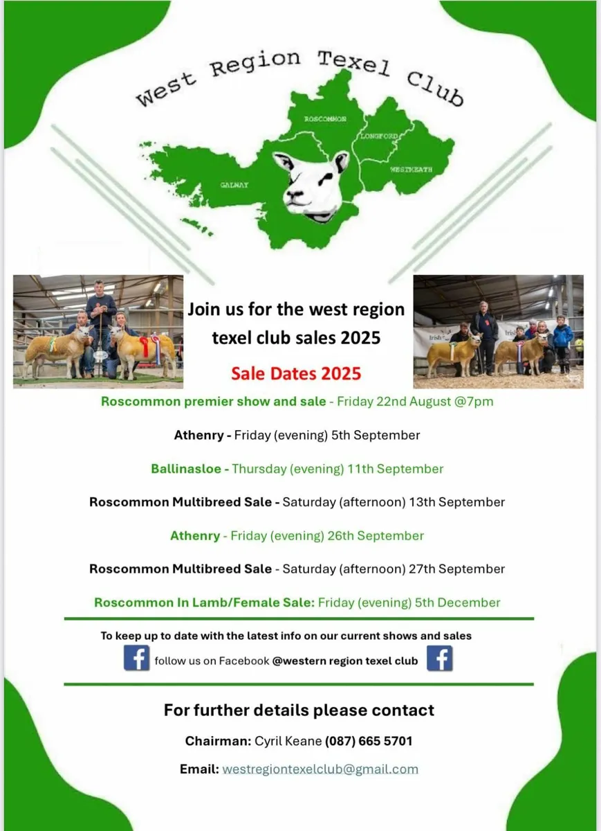Western region texel club premier sale 22nd August - Image 2