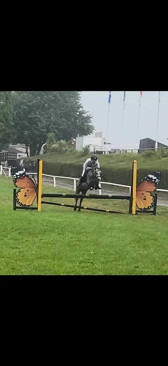 U10 sj pony