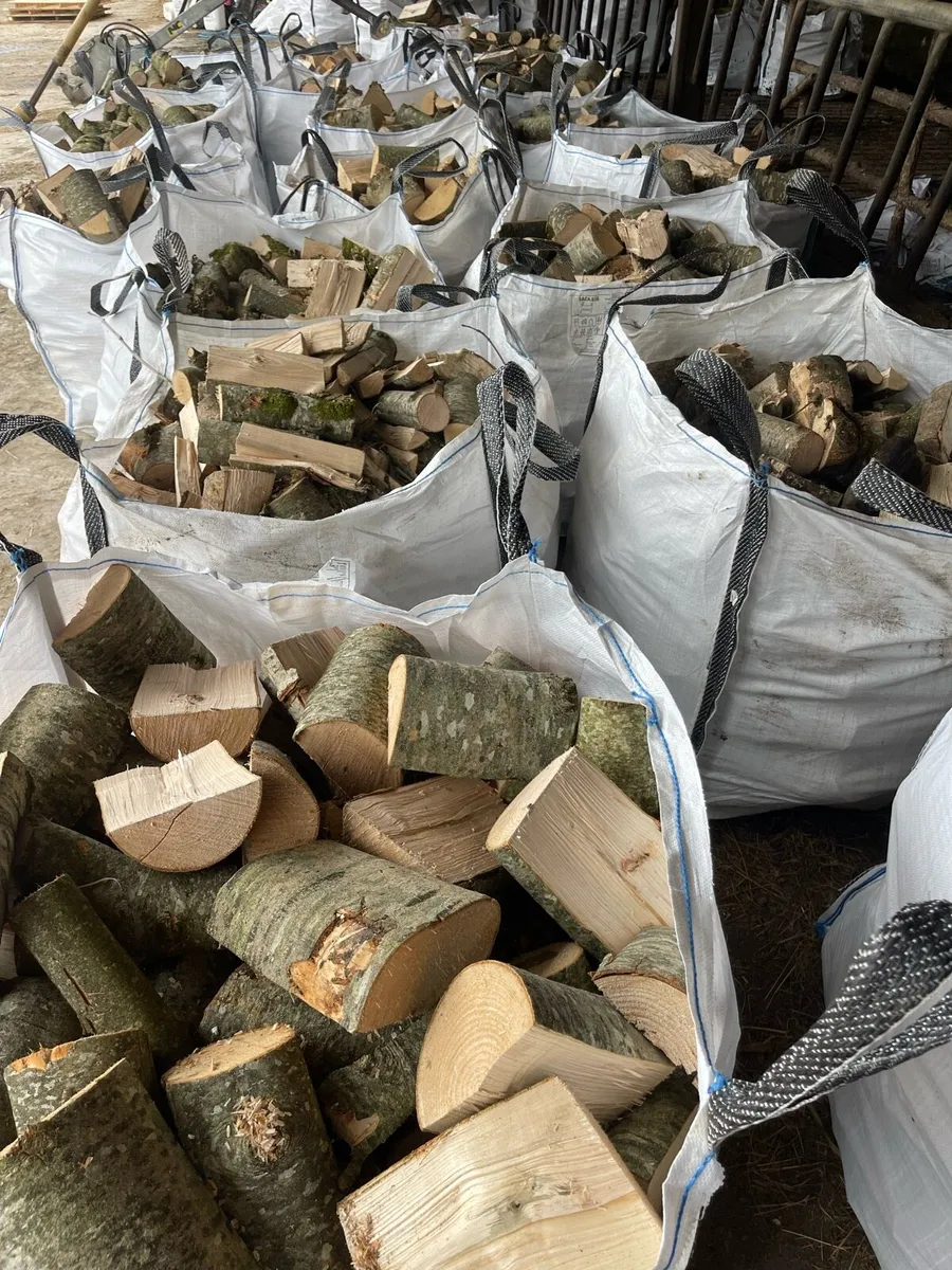 Ash firewood - Image 1