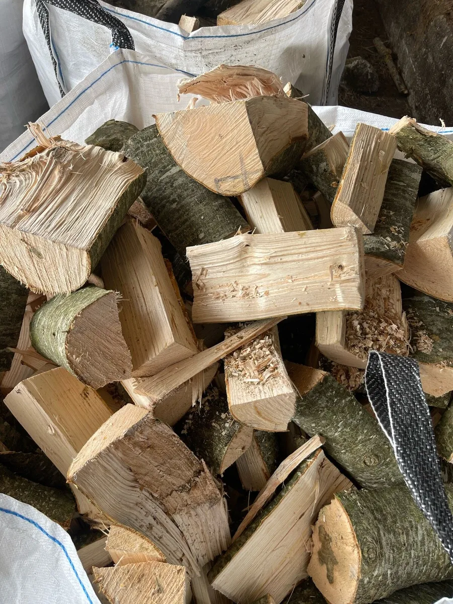Ash firewood - Image 2