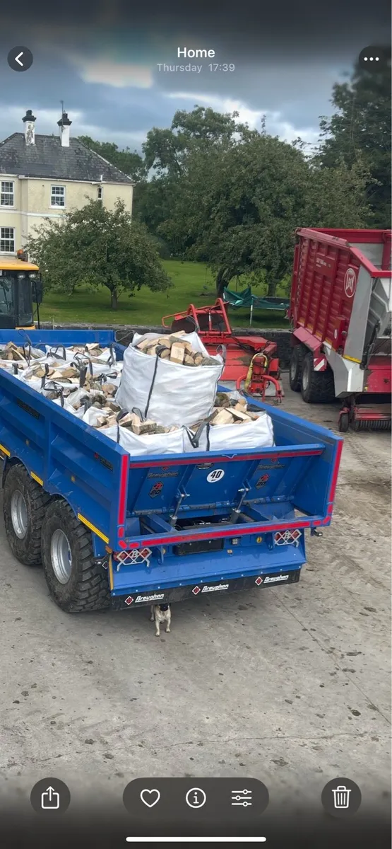 Ash firewood - Image 4