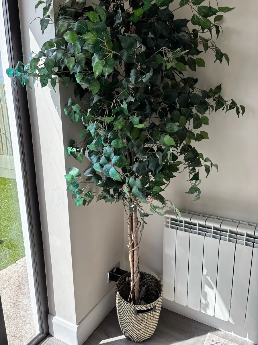 Artificial indoor Tree - Image 1