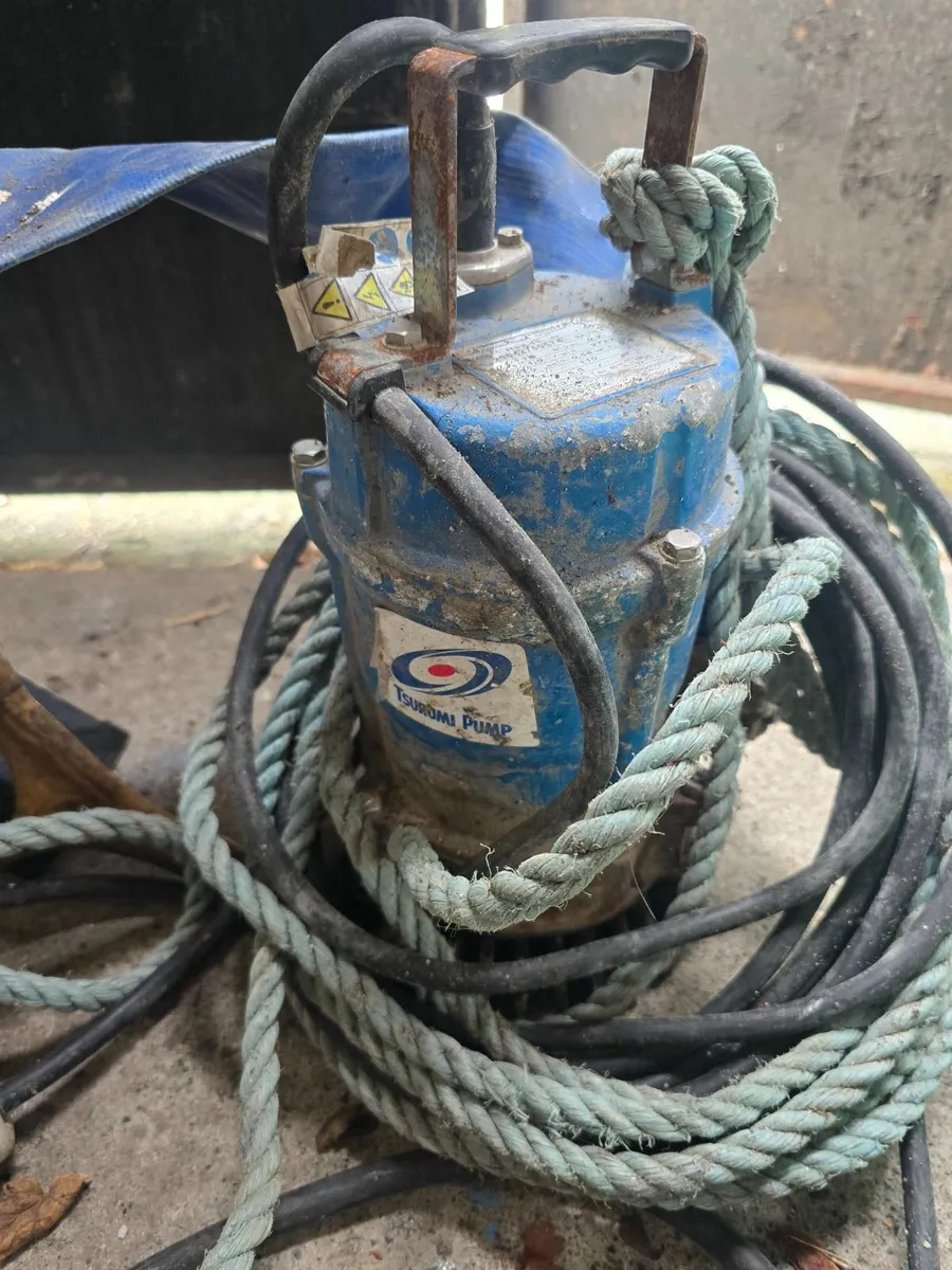 Tsurumi pump & Gas torch - Image 1