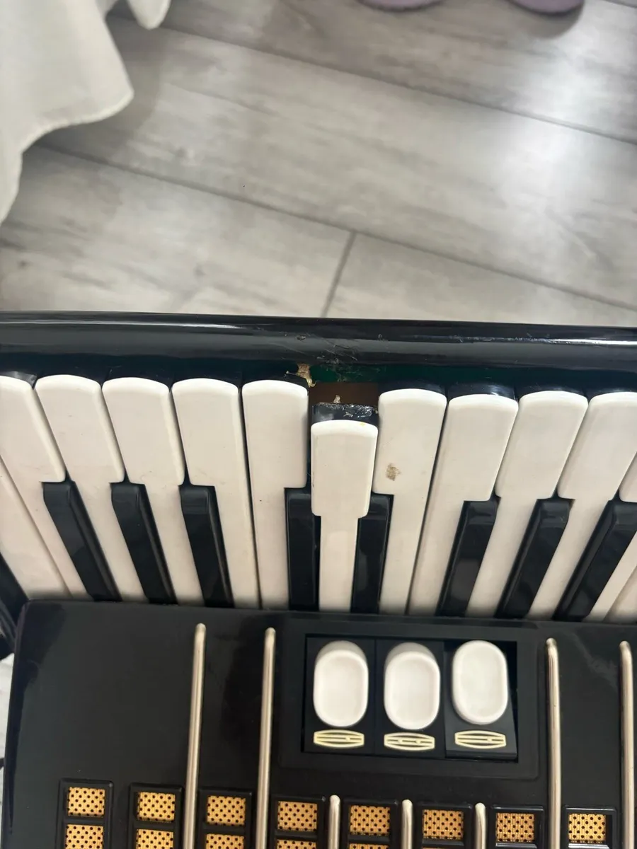 Antique accordion - Image 2